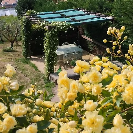 Tuscan